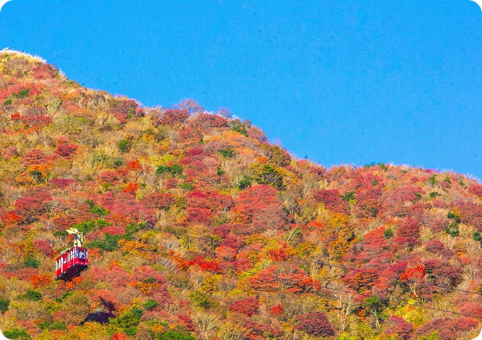山沿いを赤く染め上げる紅葉とロープウェイ