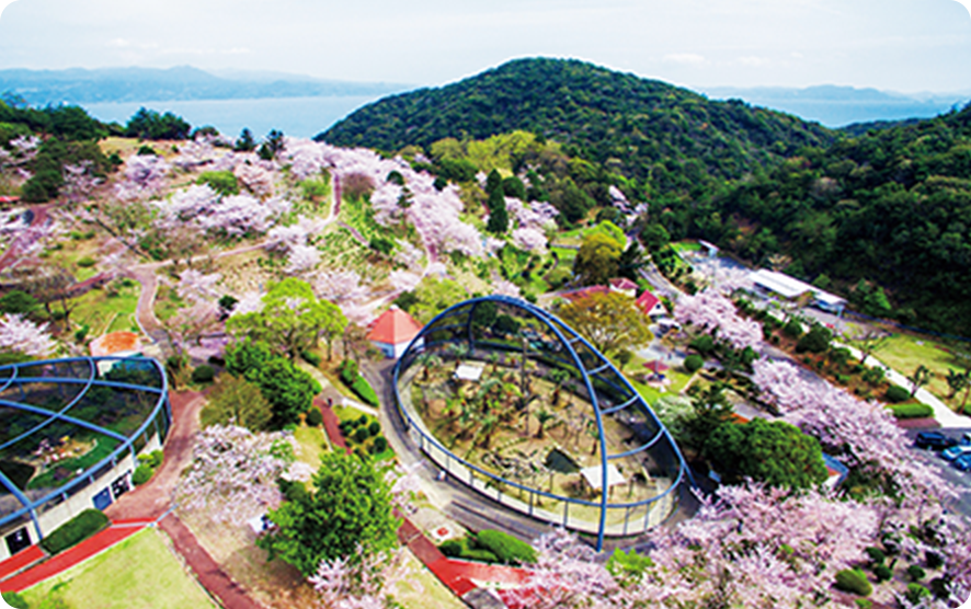 桜が咲き誇る大崎自然公園