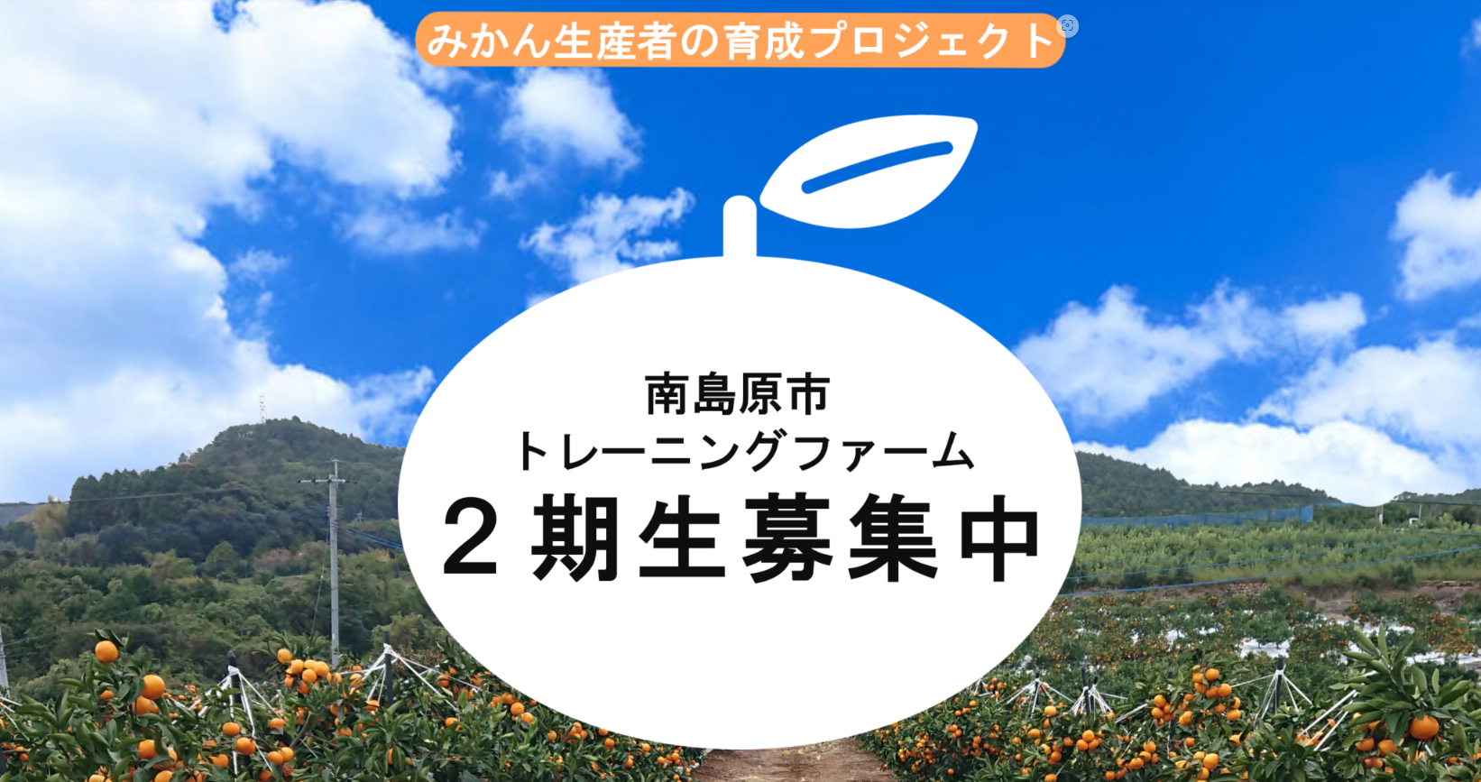 南島原市みかん生産者の育成プロジェクト二期生募集中