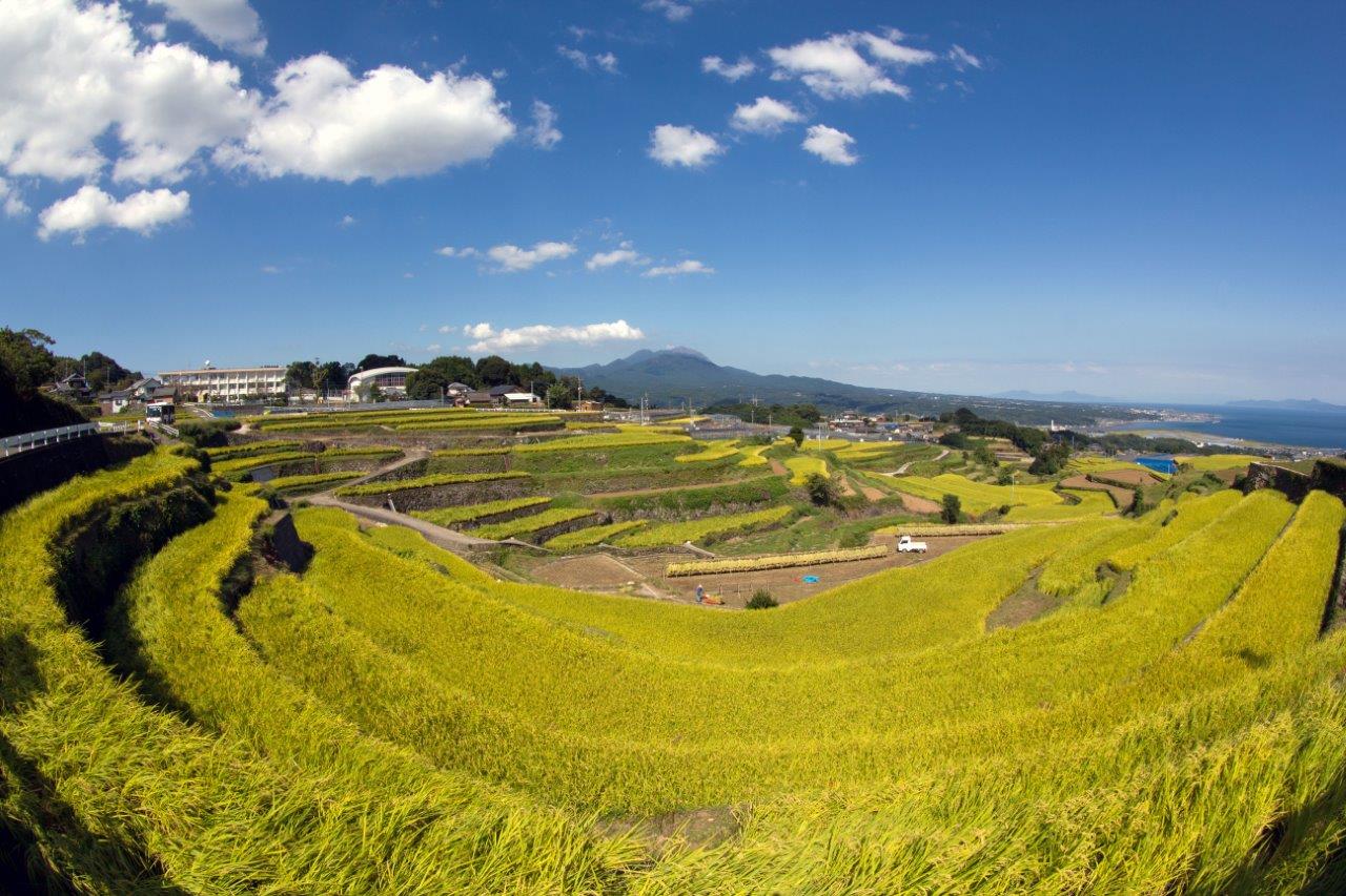 南島原市の棚田の様子