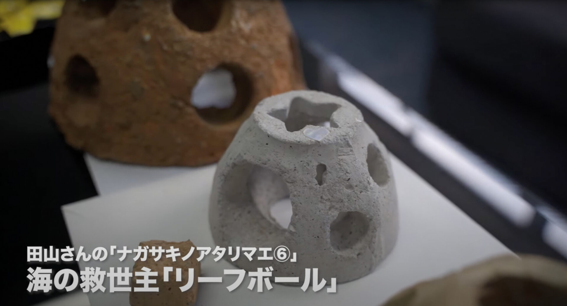 リーフボール