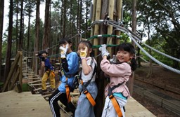 子どもがフォレストアドベンチャーで遊んでいる画像