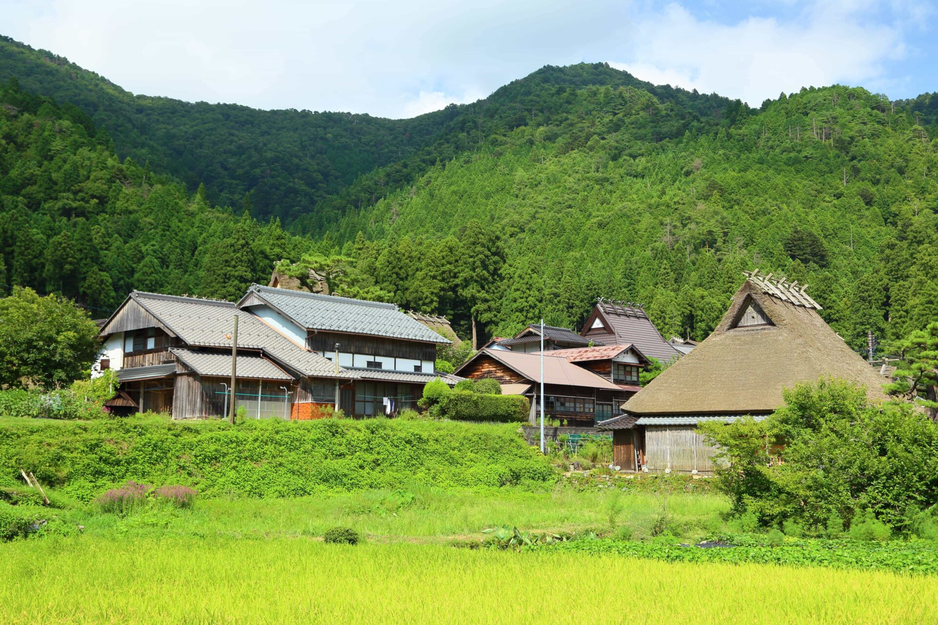自然に囲まれた複数の家