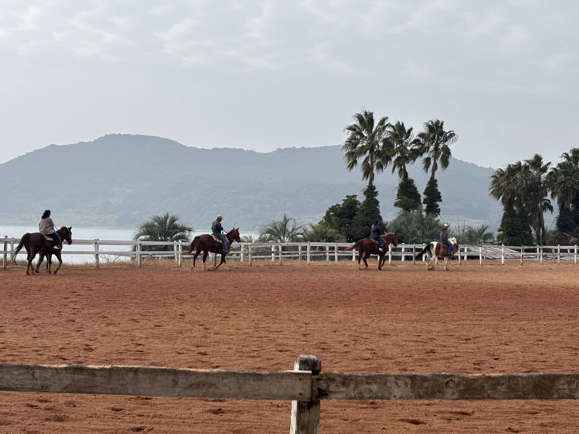 平戸市のシービューランチで乗馬体験のようす