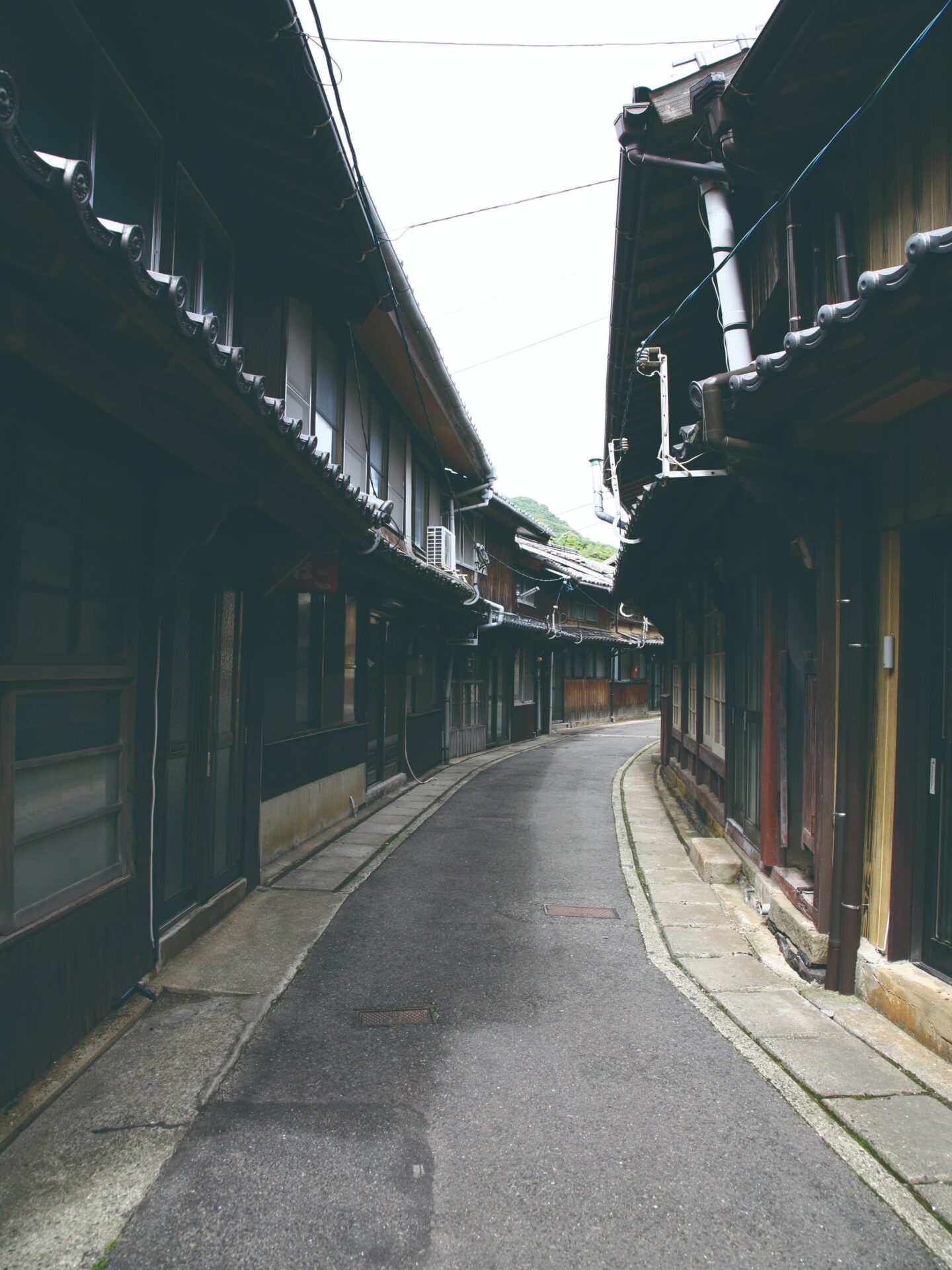 的山大島の保存地域のようす